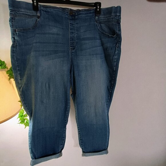 EUC: Terra & Sky Sze 3X (24W-26W) Mid-Blue Distressed Pull-On Cropped Jeans - Picture 1 of 7